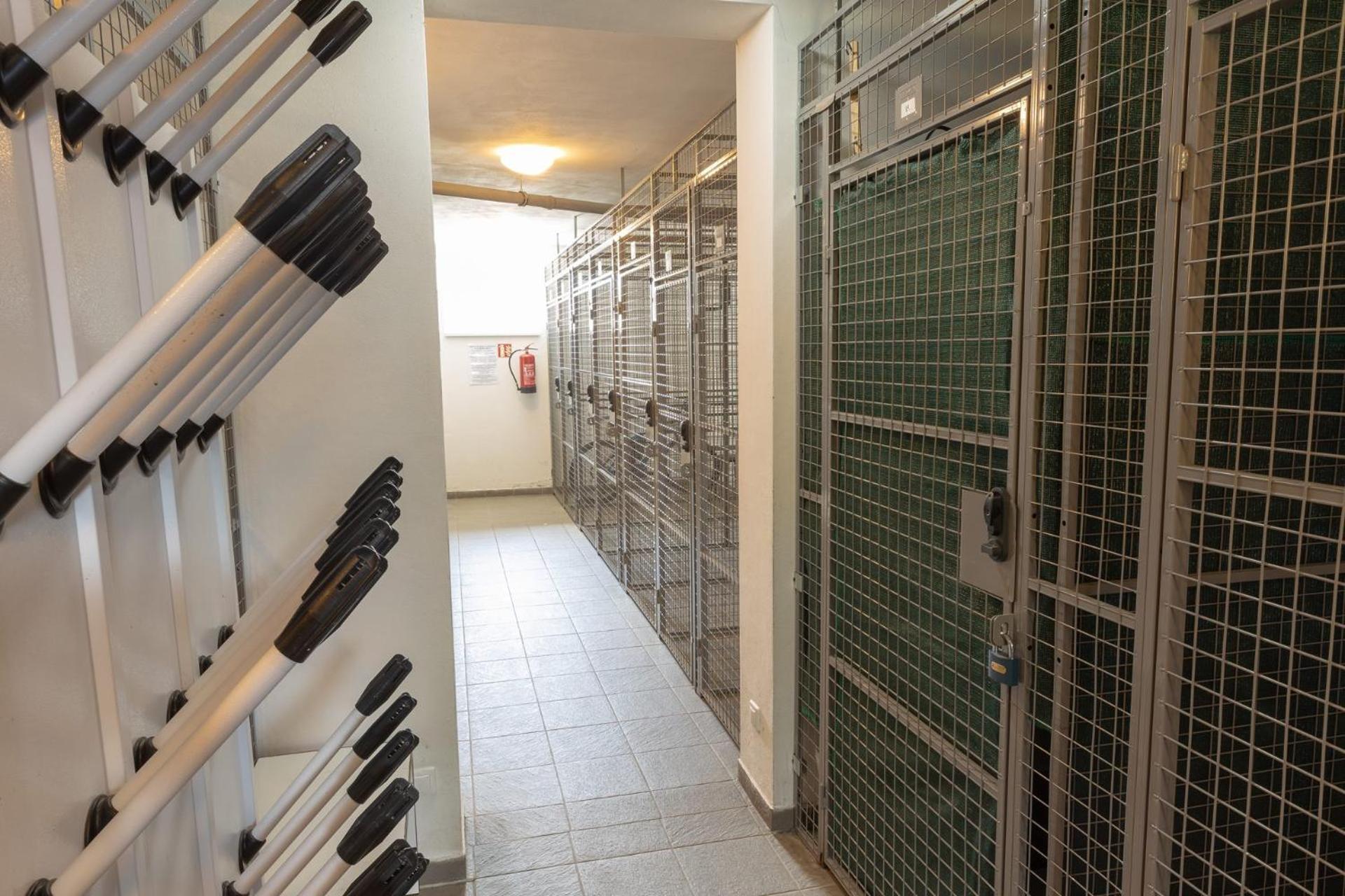 Apartment Horsky Primo U Sjezdovky Kouty Nad Desnou Loucna nad Desnou